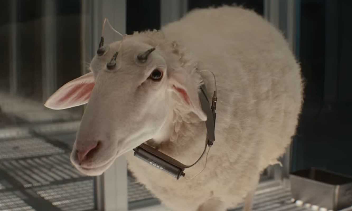 시리즈 '최악의 망작' 평가에도 시즌2 나온다...수억 달러 계약 체결 - 뉴스 썸네일 이미지