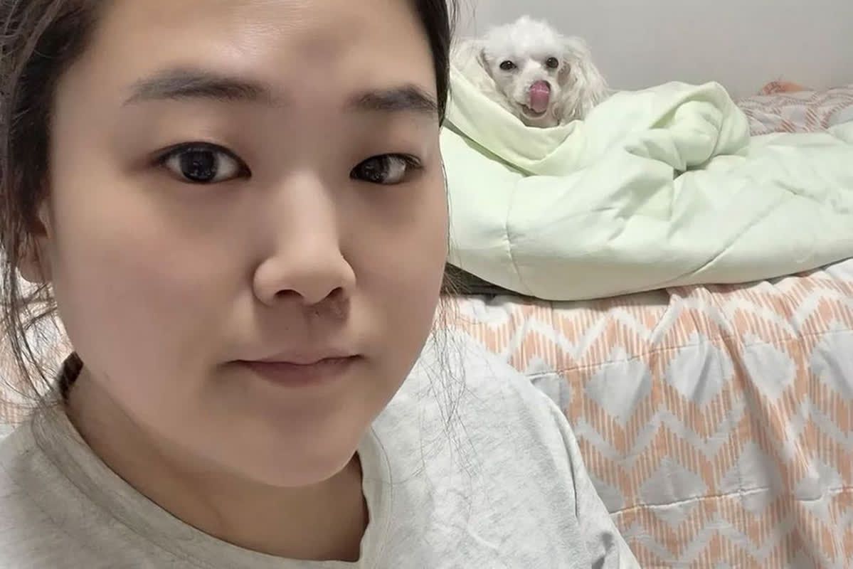 대표 이미지