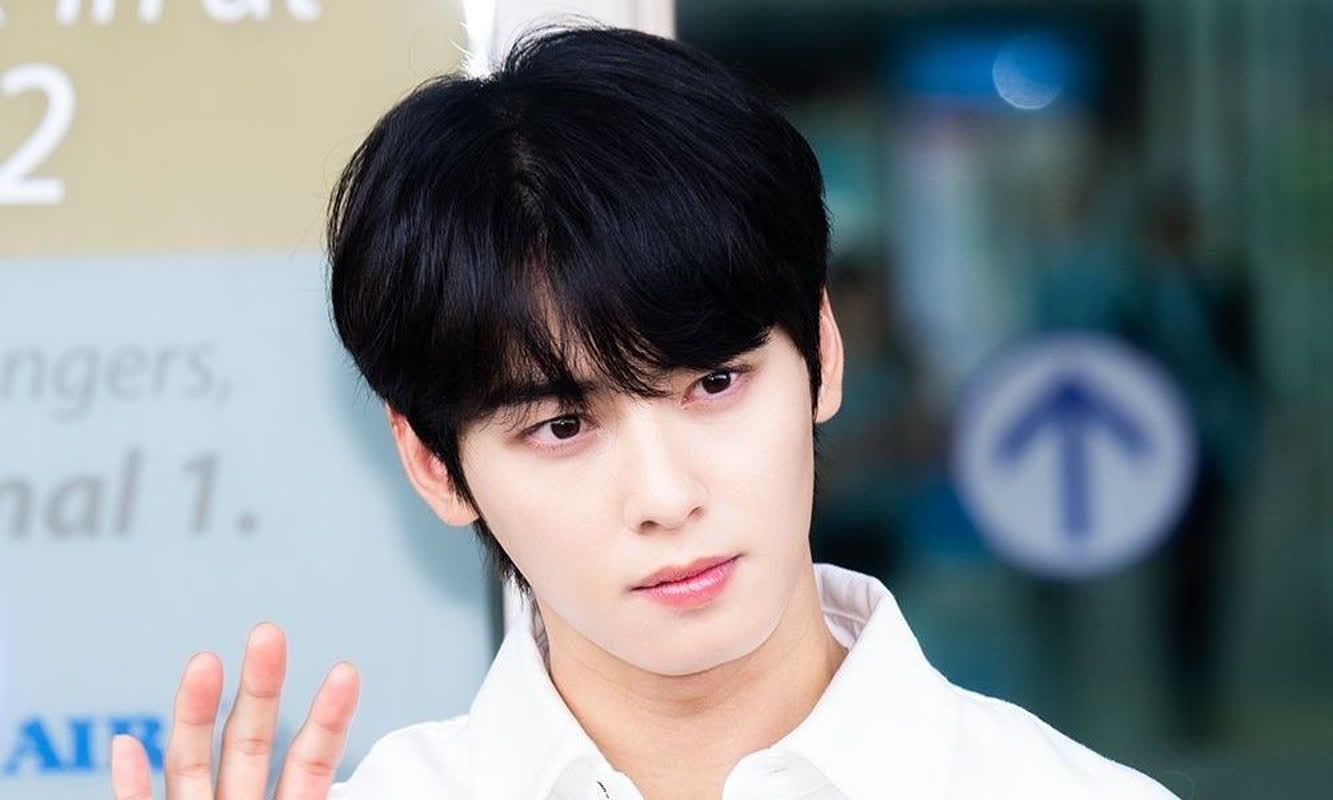 '탈세 의혹' 차은우, '잘못보다 더 욕먹는 스타 1위' 등극...김수현, 백종... - 뉴스 썸네일 이미지