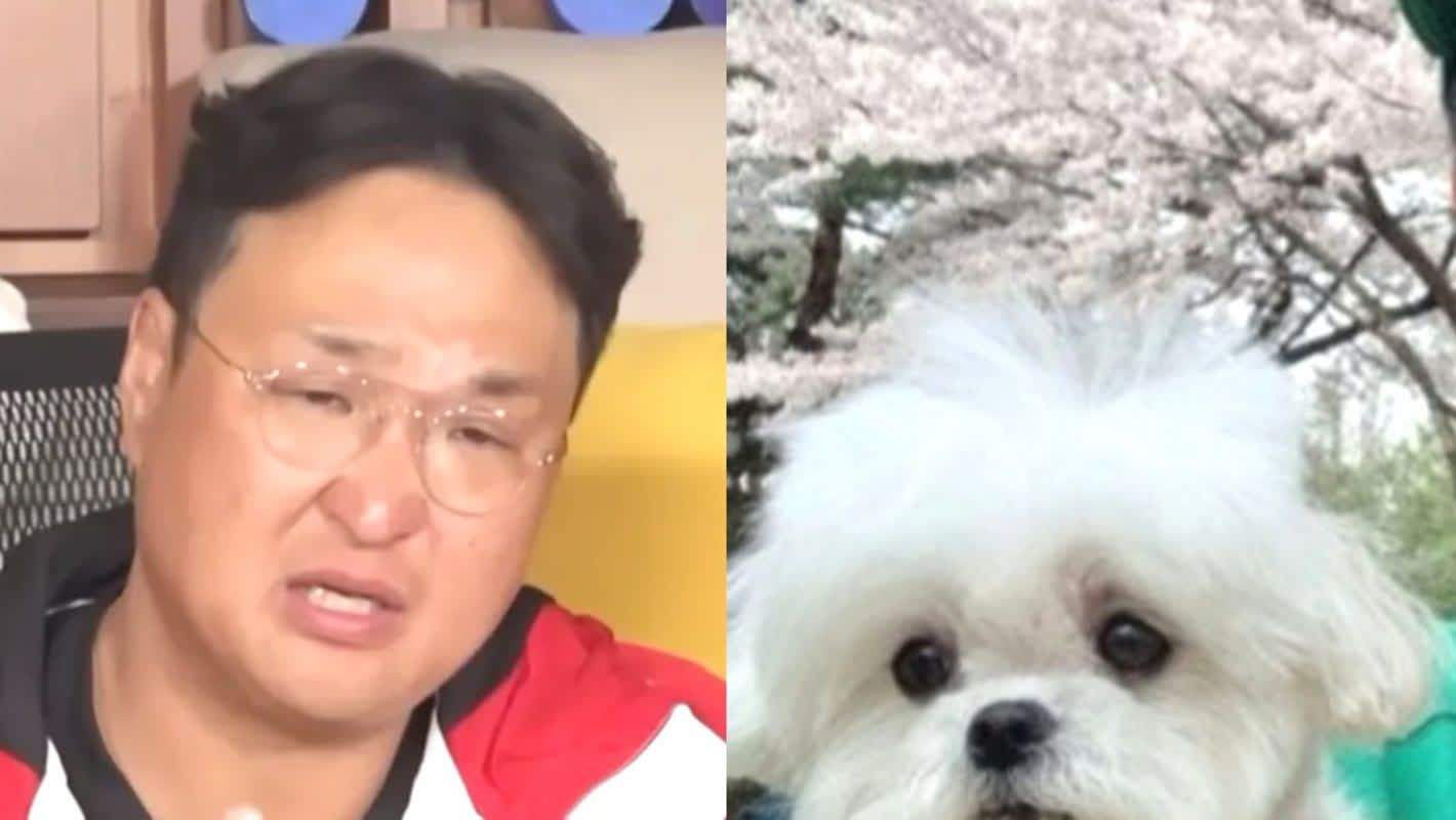 대표 이미지