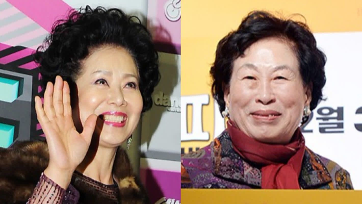 선우용여, 13년 전 전원주와 ‘600평’ 양평 땅 매입…”오순도순 여생 보낼 것” [RE:뷰]