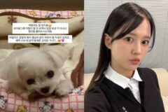 남보라, ‘반려견 파양 의혹’에 선 그었다 “아들 육아 같이…잘 지내고 있어”